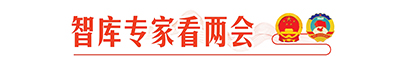 智庫專家看兩會